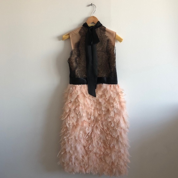 Marchesa Spring ‘16 Lace & Blush Feather Dress - Picture 9 of 16